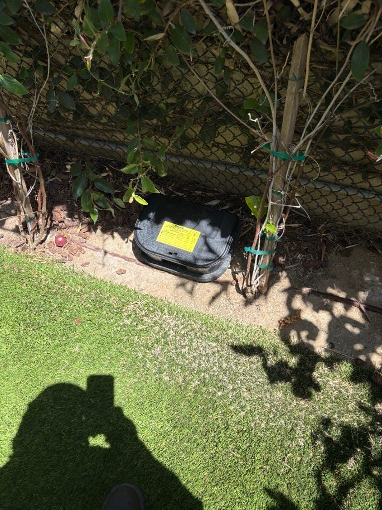 Locked bait station positioned along a fence line at the edge of a lawn