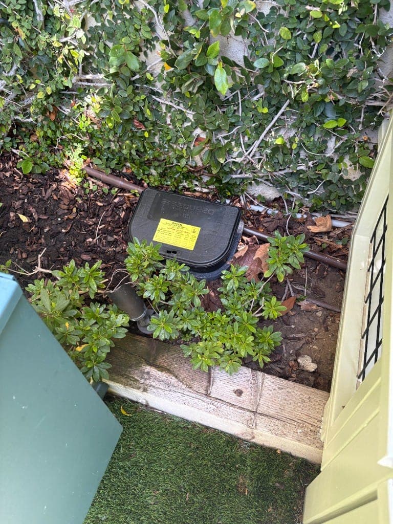 Locked and labeled Raven bait station placed in a planter bed