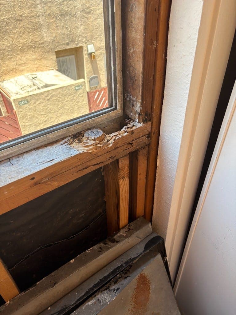 Termite damage exposed in the wood framing around a window sill