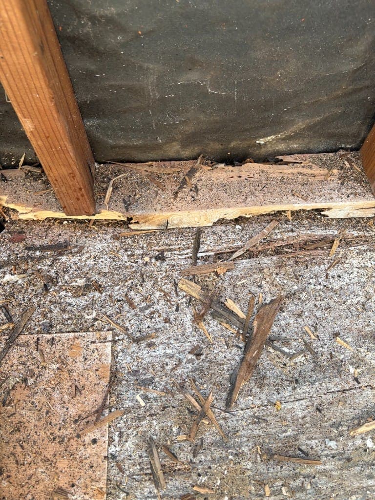 Hollowed and splintered wood debris cleared from a damaged wall