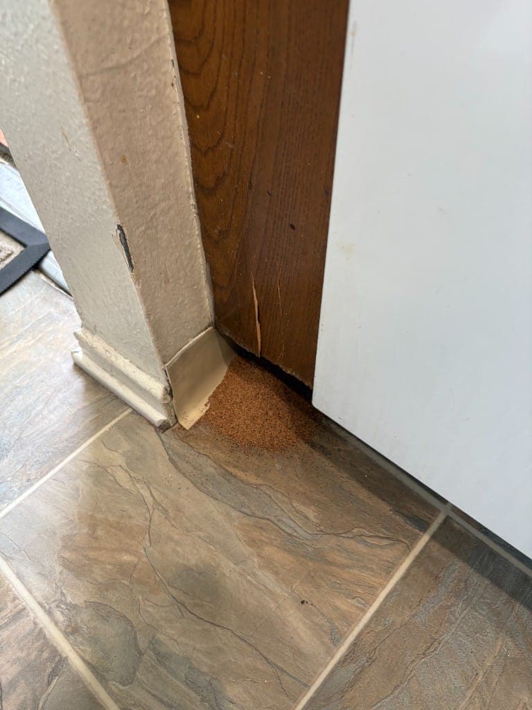 Small pile of drywood termite droppings on the floor beside a door frame
